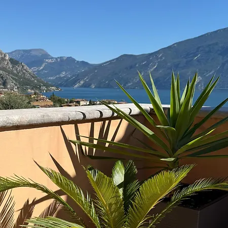 Villa Tamas Guesthouse-2